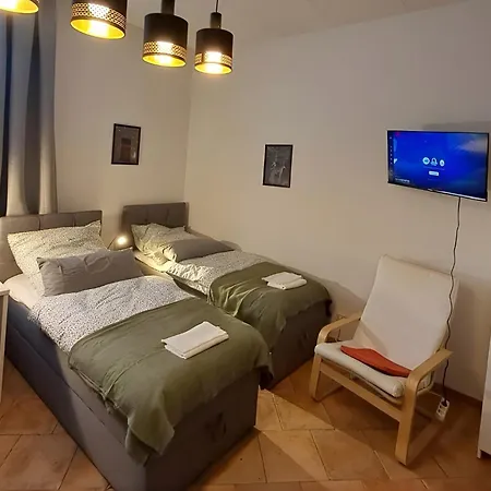 Muehlenstrasse - Zentrumsnah, Parkplatz Inklusive - Ideal Fuer Familien, Paare Und Geschaeftsleute Apartment Chemnitz