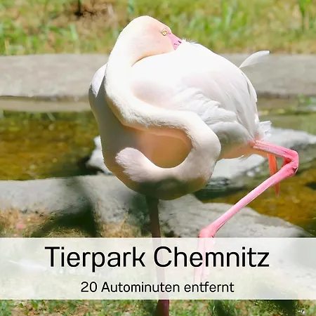 Lejlighed Muehlenstrasse - Zentrumsnah, Parkplatz Inklusive - Ideal Fuer Familien, Paare Und Geschaeftsleute Chemnitz
