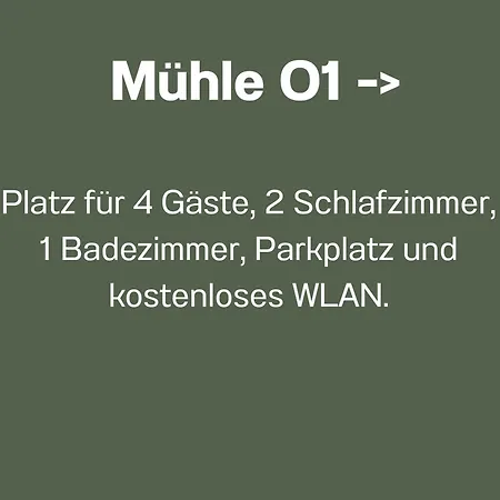 Lejlighed Muehlenstrasse - Zentrumsnah, Parkplatz Inklusive - Ideal Fuer Familien, Paare Und Geschaeftsleute *
