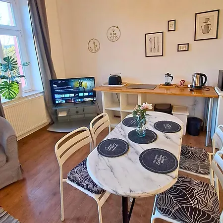 Lejlighed Muehlenstrasse - Zentrumsnah, Parkplatz Inklusive - Ideal Fuer Familien, Paare Und Geschaeftsleute Chemnitz