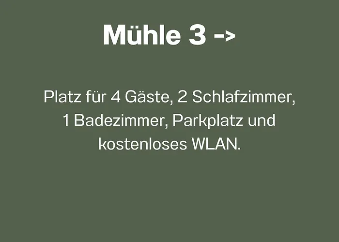 Muehlenstrasse - Zentrumsnah, Parkplatz Inklusive - Ideal Fuer Familien, Paare Und Geschaeftsleute Chemnitz