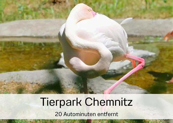 Apartment Muehlenstrasse - Zentrumsnah, Parkplatz Inklusive - Ideal Fuer Familien, Paare Und Geschaeftsleute Chemnitz